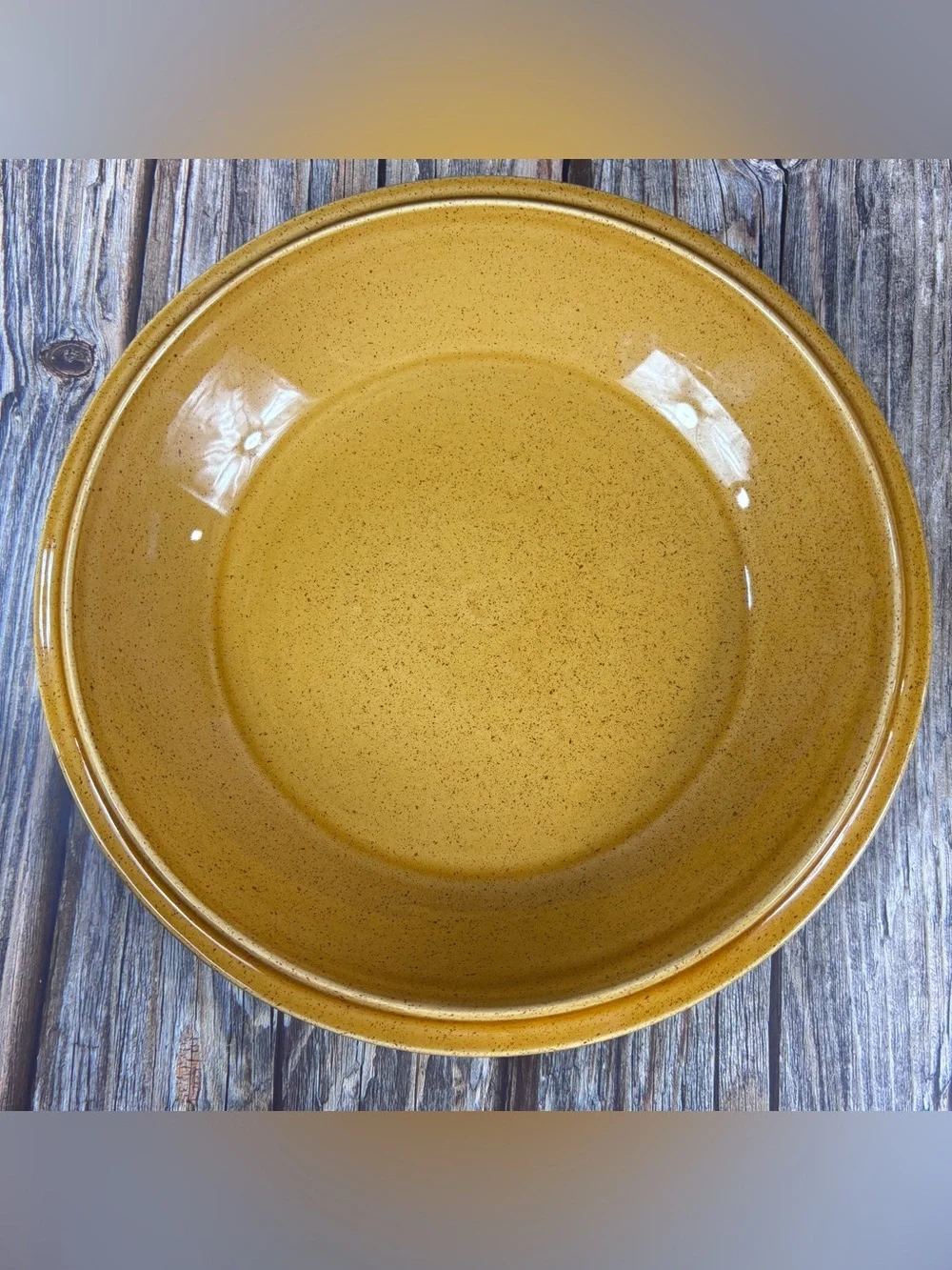 Pie Keeps Pumpkin Pie Plate & Cover - Yellow with Green Stem